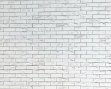 Carica l&#39;immagine nel visualizzatore di Gallery, White Painted Brick
